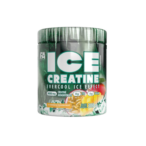 FA ICE CREATINE FALVOURED 300 G